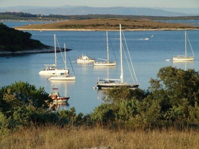 Apartment Relaxing Getaway near Adriatic Sea - Environment photo 32