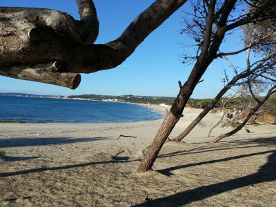 Apartment Wohnung in Rivabella am Strand - Environment photo 20