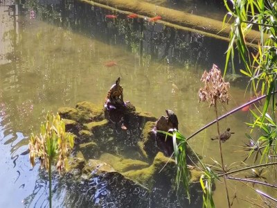 Holiday park Chalet in Baia Domizia with Private Beach - Outdoor photo 25