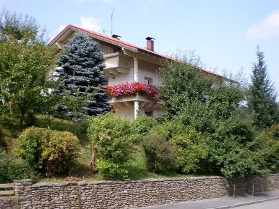 Holiday apartment Family- friendly holiday apartment at the bavarian forest - Outdoor photo 5