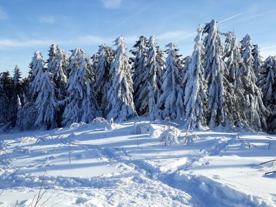 Holiday apartment Family- friendly holiday apartment at the bavarian forest - Outdoor photo 8