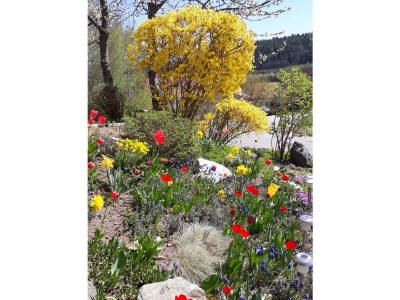 Holiday apartment Family- friendly holiday apartment at the bavarian forest - Outdoor photo 9