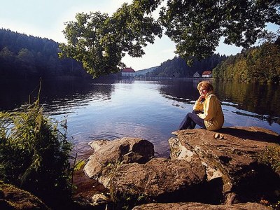 Holiday apartment Family- friendly holiday apartment at the bavarian forest - Environment photo 23