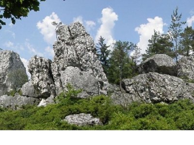 Holiday apartment Family- friendly holiday apartment at the bavarian forest - Environment photo 25