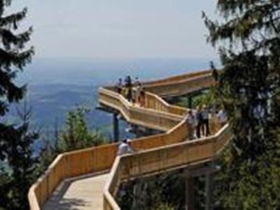 Holiday apartment Family- friendly holiday apartment at the bavarian forest - Environment photo 27