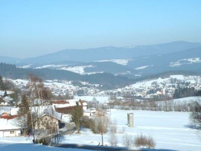 Holiday apartment Family- friendly holiday apartment at the bavarian forest - Environment photo 28
