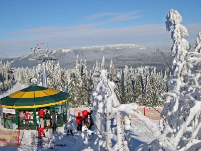 Holiday apartment Family- friendly holiday apartment at the bavarian forest - Environment photo 29