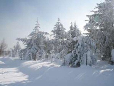 Holiday apartment Family- friendly holiday apartment at the bavarian forest - Environment photo 30