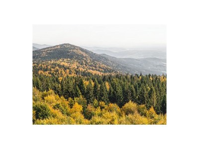 Holiday apartment Family- friendly holiday apartment at the bavarian forest - Environment photo 31