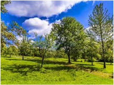 Holiday apartment Family- friendly holiday apartment at the bavarian forest - Environment photo 32