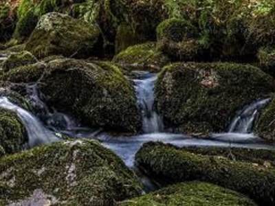 Holiday apartment Family- friendly holiday apartment at the bavarian forest - Environment photo 34