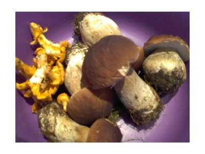 Holiday apartment Family- friendly holiday apartment at the bavarian forest - Environment photo 37