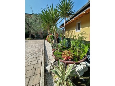 Holiday apartment Luna Apartment: The Wonders of the Lake - Outdoor photo 17