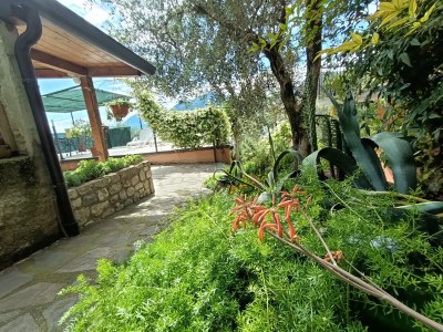 Holiday house Stella Apartment Mediterranean Garden, Lake - Outdoor photo 14
