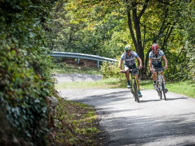 Holiday house Stella Apartment Mediterranean Garden, Lake - Environment photo 34