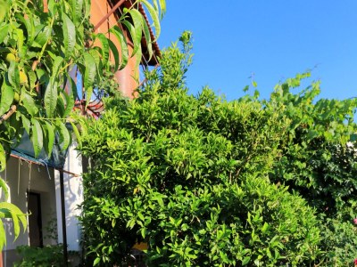 Apartment One bedroom apartment with terrace Okrug Gornji, Čiovo A-1107-b - Outdoor photo 7