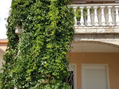 Apartment One bedroom apartment with terrace Vir A-20723-a - Outdoor photo 15