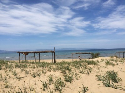 Holiday apartment Hohe Lith 3.19 - Environment photo 13