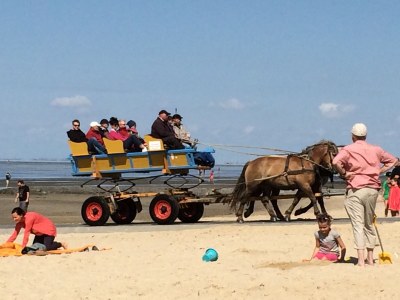 Holiday apartment Hohe Lith 3.19 - Environment photo 18