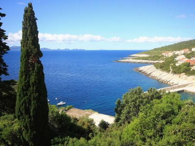 Apartment Three bedroom apartment with terrace and sea view Zavalatica, Korčula A-545-a - Outdoor photo 27