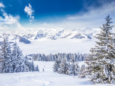 Holiday apartment No title - Environment photo 16