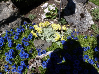 Holiday apartment Nr. 1 Soiern - Environment photo 37