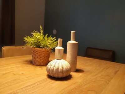 Holiday apartment Koppejan 1A - Features photo 16