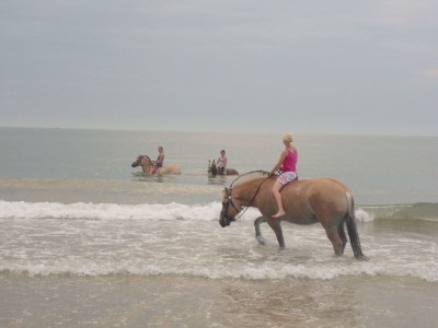 Holiday apartment Koppejan 1 - Environment photo 21