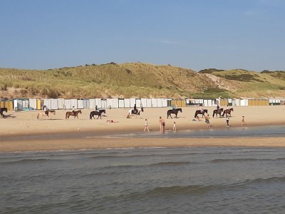 Holiday apartment Koppejan 1 - Environment photo 29