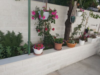 Apartment Studio flat with terrace Hvar AS-13161-a - Outdoor photo 26