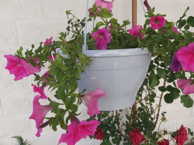 Apartment Studio flat with terrace Hvar AS-13161-a - Outdoor photo 27