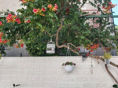 Apartment Studio flat with terrace Hvar AS-13161-a - Outdoor photo 28