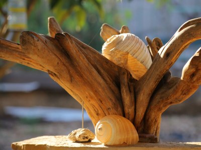 Apartment Two bedroom apartment with terrace Trogir A-15517-a - Outdoor photo 14