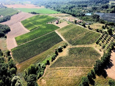 Apartment Apartment with swimming pool in Tuscany - Environment photo 23