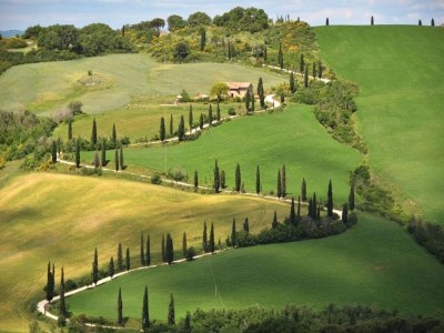 Apartment Apartment with swimming pool in Tuscany - Environment photo 26