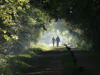 Holiday park Luxus-Lodge in Twente mit Wiesenblick - Environment photo 22