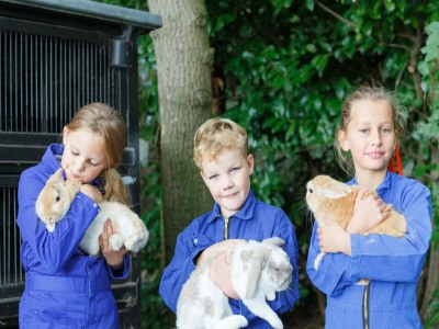 Holiday park Luxus-Lodge in Twente mit Wiesenblick - Outdoor photo 35