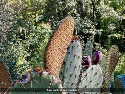 Holiday house Lou Cigaloun - Outdoor photo 35