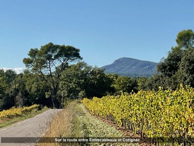Holiday house Lou Cigaloun - Outdoor photo 40