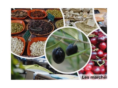 Holiday house Lou Cigaloun - Outdoor photo 42