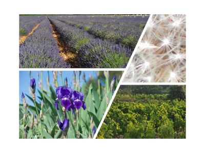 Holiday house Maison du Rocher - Outdoor photo 19