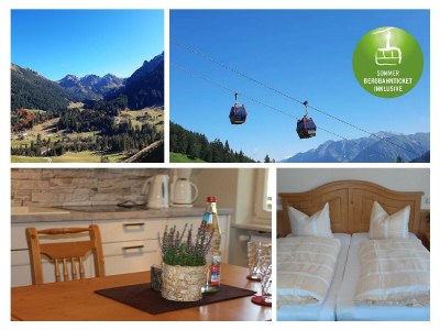 Apartment Apartment Ahorn - 1 Schlafraum mit Dusche/WC in Mittelberg - Apartment