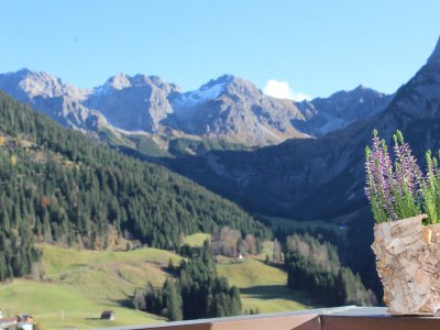 Apartment Apartment Ahorn - 1 Schlafraum mit Dusche/WC - Features photo 12