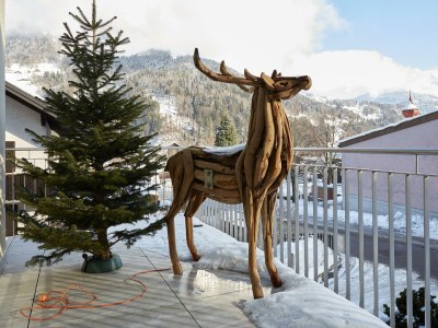 Apartment Wunderhirsch - Features photo 19