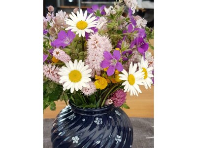 Apartment WG 1/ 3 Schlafräume / Bad/WC / Dusche/WC - Outdoor photo 20