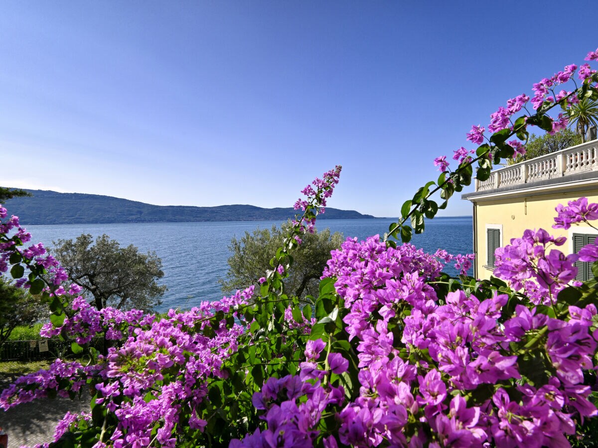 Apartment Appartamento Nido nel Cielo