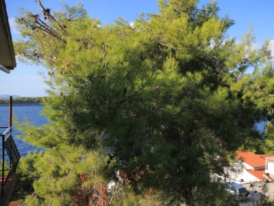 Apartment One bedroom apartment with balcony and sea view Prižba, Korčula A-9227-a - Outdoor photo 24