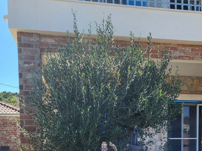 Holiday house Comfortable and spacious house with terrace and sea view Ždrelac, Pašman K-24952 - Outdoor photo 9