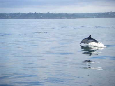 Holiday house Ferienhaus am Merr mit Panoramablick - Environment photo 43