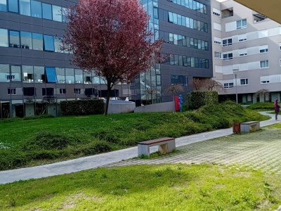 Apartment Apartments Cankareva - Outdoor photo 4